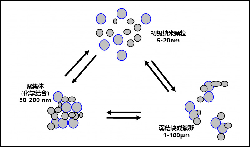 顏料顆粒、絮凝和團聚之間的關(guān)系