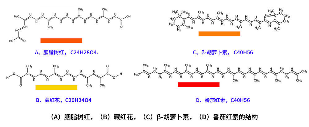 藏紅花、胭脂樹紅、β-胡蘿卜素、番茄紅素的化學結(jié)構(gòu)